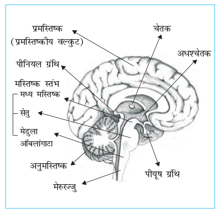 Screenshot from 2019-06-08 19-17-20